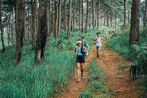 BIB: 
                            <button type="button" onclick="openModal(25660530)" class="btn btn-primary btn-sm float-right btn-popup" data-toggle="modal" data-target=".modal-high-quality">
                        <i class="fas fa-shopping-cart"></i> Add to Cart
                    </button>
                                            <button type="button" onclick="isThisMe(25660530, true)" class="btn btn-success btn-sm float-right btn-popup btn-isme hidden" data-toggle="tooltip" data-placement="bottom" title="นี่คือรูปของคุณใช่ไหม คลิกที่นี่เพื่อเอาเข้าอัลบั้ม">
                        <i class="fas fa-plus"></i> Add to album
                    </button>
                    <button type="button" onclick="isThisMe(25660530, false)" class="btn btn-warning btn-sm float-right btn-popup btn-isnotme hidden">
                        <i class="fas fa-ban"></i> Remove from album
                    </button>